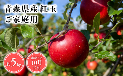 １０月発送　【訳あり】家庭用紅玉5ｋｇ　【そと川りんご園・１０月・青森県産・平川市・りんご・紅玉・5ｋｇ・訳あり・家庭用】 1457043 - 青森県平川市