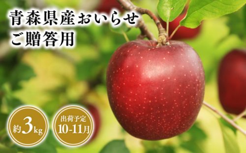 １０月・１１月発送　贈答用おいらせ3ｋｇ　【そと川りんご園・１０月・１１月・青森県産・平川市・りんご・おいらせ・3ｋｇ・贈答用】 1457045 - 青森県平川市