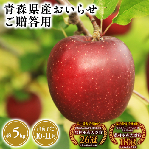 2025年産１０月・１１月発送　贈答用おいらせ5ｋｇ　【そと川りんご園・１０月・１１月・青森県産・平川市・りんご・おいらせ・5ｋｇ・贈答用】 1457046 - 青森県平川市