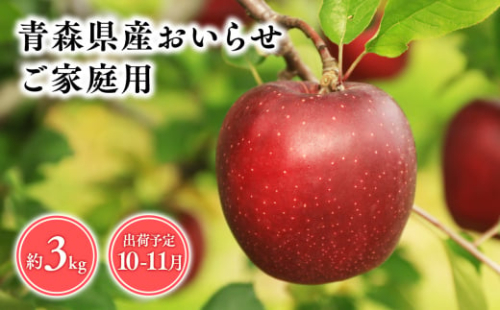 １０月・１１月発送　【訳あり】家庭用おいらせ3ｋｇ　【そと川りんご園・１０月・１１月・青森県産・平川市・りんご・おいらせ・3ｋｇ・訳あり・家庭用】 1457048 - 青森県平川市