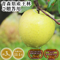 2025年産11月〜1月発送 贈答用王林3kg [そと川りんご園・11月・12月・1月・青森県産・平川市・りんご・王林・3kg・贈答用]