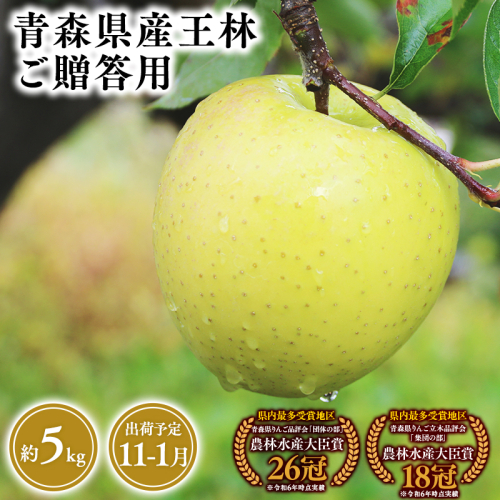 2025年産１１月～１月発送　贈答用王林5ｋｇ　【そと川りんご園・１１月・１２月・１月・青森県産・平川市・りんご・王林・5ｋｇ・贈答用】 1457052 - 青森県平川市