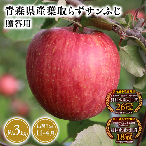 2025年産１１月～４月発送　贈答用葉とらずサンふじ3ｋｇ　【そと川りんご園・１１月・１２月・１月・２月・３月・４月・青森県産・平川市・りんご・葉とらずサンふじ・3ｋｇ・贈答用】 1457057 - 青森県平川市