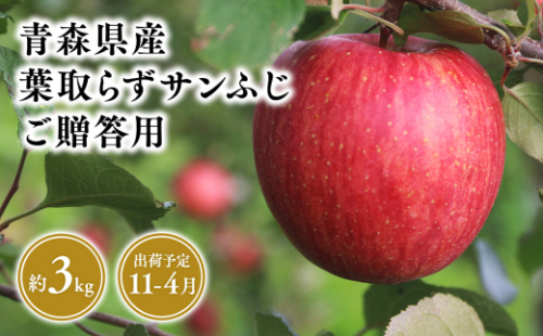 １１月～４月発送　贈答用葉とらずサンふじ3ｋｇ　【そと川りんご園・１１月・１２月・１月・２月・３月・４月・青森県産・平川市・りんご・葉とらずサンふじ・3ｋｇ・贈答用】 1457057 - 青森県平川市