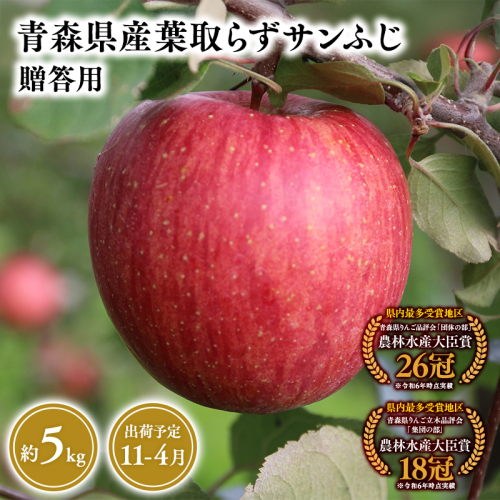 2025年産１１月～４月発送　贈答用葉とらずサンふじ5ｋｇ　【そと川りんご園・１１月・１２月・１月・２月・３月・４月・青森県産・平川市・りんご・葉とらずサンふじ・5ｋｇ・贈答用】 1457058 - 青森県平川市