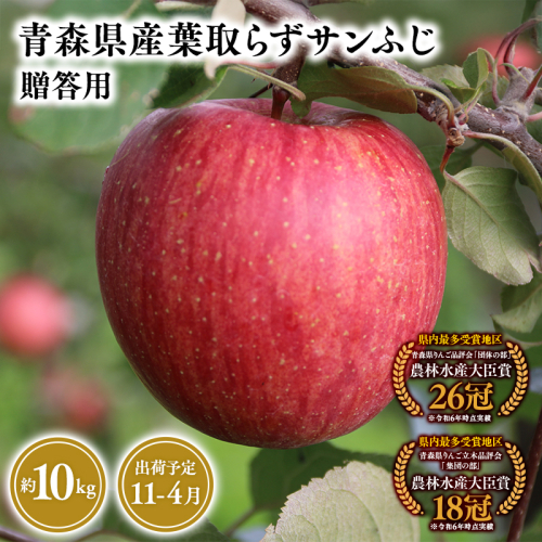 2025年産１１月～４月発送　贈答用葉とらずサンふじ10ｋｇ　【そと川りんご園・１１月・１２月・１月・２月・３月・４月・青森県産・平川市・りんご・葉とらずサンふじ・10ｋｇ・贈答用】 1457059 - 青森県平川市