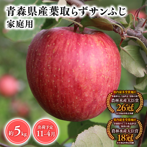 2025年産１１月～４月発送　【訳あり】家庭用葉とらずサンふじ5ｋｇ　【そと川りんご園・１１月・１２月・１月・２月・３月・４月・青森県産・平川市・りんご・葉とらずサンふじ・5ｋｇ・訳あり・家庭用】 1457061 - 青森県平川市