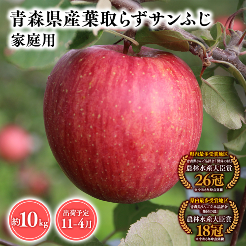 2025年産１１月～４月発送　【訳あり】家庭用葉とらずサンふじ10ｋｇ　【そと川りんご園・１１月・１２月・１月・２月・３月・４月・青森県産・平川市・りんご・葉とらずサンふじ・10ｋｇ・訳あり・家庭用】 1457062 - 青森県平川市