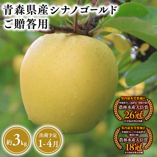2025年産 １月～４月発送　贈答用シナノゴールド3ｋｇ　【そと川りんご園・１月・２月・３月・４月・青森県産・平川市・りんご・シナノゴールド・3ｋｇ・贈答用】 1457069 - 青森県平川市