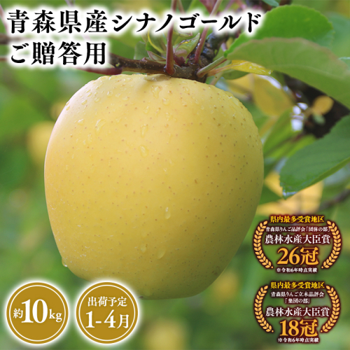 2025年産 １月～４月発送　贈答用シナノゴールド10ｋｇ　【そと川りんご園・１月・２月・３月・４月・青森県産・平川市・りんご・シナノゴールド・10ｋｇ・贈答用】 1457071 - 青森県平川市