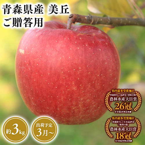 2025年産３月発送　贈答用美丘3ｋｇ　【そと川りんご園・３月・青森県産・平川市・りんご・美丘・3ｋｇ・贈答用】 1457075 - 青森県平川市