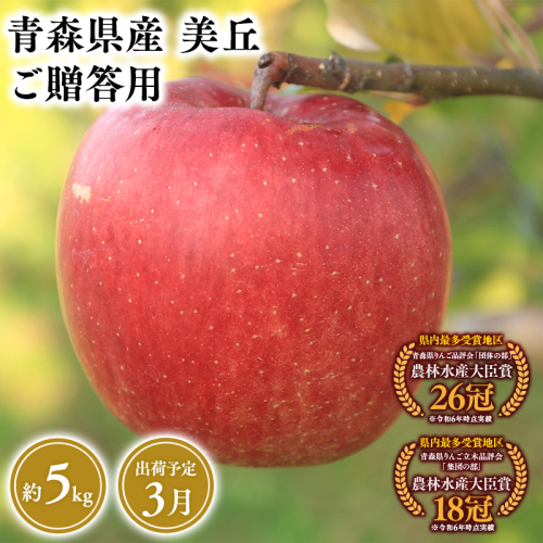2025年産３月発送　贈答用美丘5ｋｇ　【そと川りんご園・３月・青森県産・平川市・りんご・美丘・5ｋｇ・贈答用】 1457076 - 青森県平川市