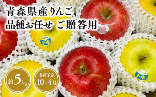 品種お任せ　贈答用　旬のりんご詰め合わせ5kg 1457082 - 青森県平川市