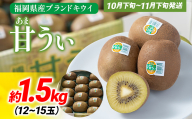 期間限定 福岡県産ブランドキウイ「甘うぃ」約1.5kg（12-15玉）美容 健康 ビタミンC キウイフルーツ 南国フルーツ CO014