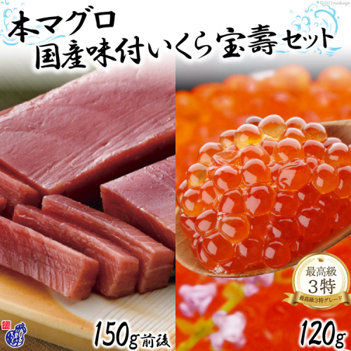 本まぐろ 中トロ（150g前後）＆ 国産 味付いくら（120g） [かわむら家 宮城県 気仙沼市 20564382] 魚介 魚貝 海鮮 いくら 本まぐろ セット 宝寿 中トロ 豪華 ごちそう ご褒美 145746 - 宮城県気仙沼市