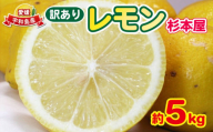 訳あり レモン 5kg  杉本屋 先行予約 わけあり れもん 檸檬 レモン果汁 酸味 爽やか 果実 サワー ジュース チューハイ remon 青レモン れもん 檸檬 果物 くだもの ビタミン フルーツ 柑橘 農家直送 産地直送 数量限定 国産 愛媛 宇和島 B010-143012