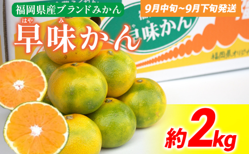《先行予約》期間限定 みかん 福岡県産ブランド 「早味かん」 約2kg フルーツ 返礼品 お取り寄せグルメ お取り寄せ グルメ 果物 南国フルーツ CO016 1457574 - 福岡県大木町