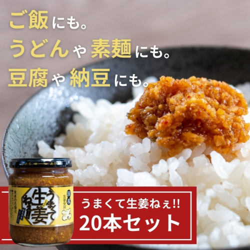 うまくて生姜ねぇ!!20本セット 【しょうが 国産 醤油漬け ごはんのお供 お弁当 調味料 おつまみ 肴 薬味 隠し味 猪苗代町 福島県】 1457638 - 福島県猪苗代町