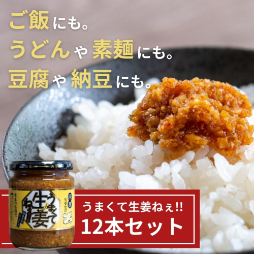 うまくて生姜ねぇ!!12本セット 【しょうが 国産 醤油漬け ごはんのお供 お弁当 調味料 おつまみ 肴 薬味 隠し味 猪苗代町 福島県】 1457639 - 福島県猪苗代町