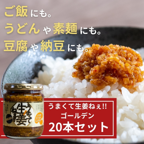 うまくて生姜ねぇ!!ゴールデン20本セット 【しょうが 国産 醤油漬け しいたけ ごはんのお供 お弁当 調味料 おつまみ 肴 薬味 隠し味 猪苗代町 福島県】 1457646 - 福島県猪苗代町