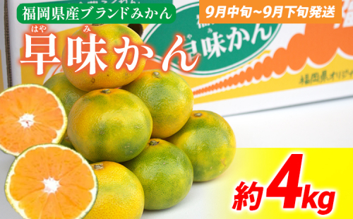 《先行予約》期間限定 みかん 福岡県産ブランド 「早味かん」 約4kg フルーツ 返礼品 お取り寄せグルメ お取り寄せ グルメ 果物 南国フルーツ CO017 1457659 - 福岡県大木町