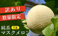 【訳あり】純系マスクメロン１玉【１０～１１月発送分】