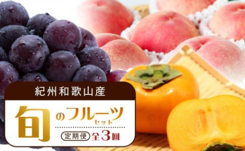 【7・8・10月 全3回】紀州和歌山産旬のフルーツセット（桃・ピオーネ・ひらたねなし柿）定期便 【魚鶴商店】【UT67】 1457746 - 和歌山県上富田町