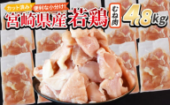 ＜宮崎県産若鶏切 むね肉 4.8kg（300g×16袋）＞ 翌月末迄に順次出荷 【 からあげ 唐揚げ カレー シチュー BBQ 煮物 チキン南蛮 小分け おかず おつまみ お弁当 惣菜 時短 炒め物 簡単料理 】