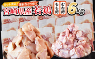 ＜宮崎県産若鶏切 6kg（むね肉 300g×10袋 もも肉 300g×10袋）＞ 翌月末迄に順次出荷 【 セット 詰め合わせ からあげ 唐揚げ カレー シチュー BBQ 煮物 チキン南蛮 小分け おかず おつまみ お弁当 惣菜 時短 炒め物 簡単料理 】