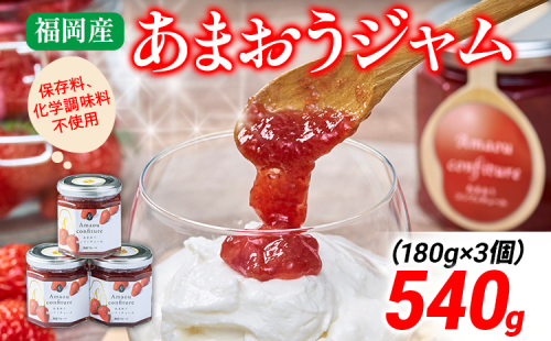 福岡産 あまおうジャム 合計540g 180g×3個 あまおう イチゴ いちご ジャム 朝食 食パン 果物 フルーツ アイス 送料無料 加工食品 詰め合わせ フルーティー 果肉 風味 食感 こだわり 大木町産 南国フルーツ CO028 1457990 - 福岡県大木町