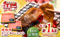 【全6回定期便】【A4～A5ランク】長崎和牛 焼肉用 1kg（500g×2パック）《壱岐市》【株式会社MEAT PLUS】肉 牛肉 黒毛和牛 焼き肉 焼肉 焼肉用 ギフト 贈答用 ご褒美 冷凍配送 A4 A5 [JGH113]