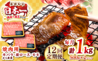 【全12回定期便】【A4～A5ランク】長崎和牛 焼肉用 1kg（500g×2パック）《壱岐市》【株式会社MEAT PLUS】肉 牛肉 黒毛和牛 焼き肉 焼肉 焼肉用 ギフト 贈答用 ご褒美 冷凍配送 A4 A5 [JGH114]