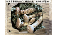 【オンライン決済限定】諏訪市後山産 松茸 約200g~250g(※注意事項を必ず確認の上、お申し出下さい)／ Suwa後山ブランド化プロジェクト 信州産 国産 産地直送 マツタケ まつたけ 信州 長野県 諏訪市 諏訪 【67-03】