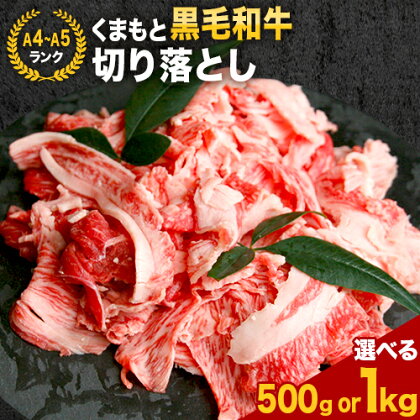 【A4～A5】くまもと黒毛和牛 切り落とし 選べる 500g 1kg 《30日以内に出荷予定(土日祝除く)》 牛肉 くまもと黒毛和牛 黒毛和牛 冷凍庫 切り落とし 1458907 - 熊本県長洲町