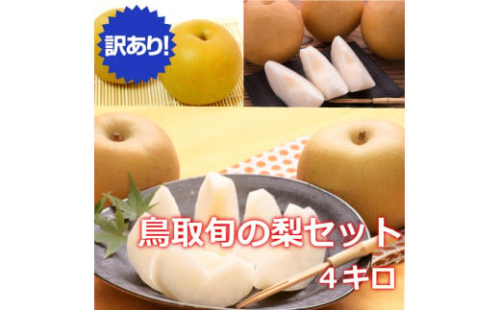 ９２８．【訳あり】鳥取県産旬の梨セット 4kg ≪果物 フルーツ くだもの≫※2024年8月下旬頃～12月下旬頃に順次発送予定