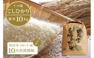 【10月中旬から随時発送】2024年産の新米 仁の蔵の「信濃町産 こしひかり10kg」名水弘法清水が湧き出る黒姫山麓で育った自慢のお米 【長野県信濃町ふるさと納税】