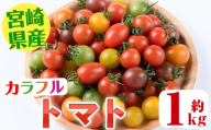 ＜先行予約受付中！2024年11月～5月の間に順次発送予定・期間限定＞カラフルトマト食べ比べセット(約1kg) 国産 宮崎県産 とまと 野菜 サラダ 黄色 オレンジ みどり 紫 アイコ 赤 セレブスイート 【KT-9】【K.Tfarm】