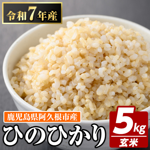 鹿児島県産の玄米 ひのひかり(計5kg) 国産 玄米 自社精米 ご飯 おこめ おにぎり お弁当 ひのひかり【谷口ファーム】akn064-04 1459468 - 鹿児島県阿久根市