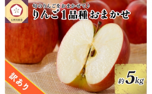 【選べる配送時期】 【訳あり】 旬の美味しい りんご 約5kg 青森 産 【おまかせ1品種】