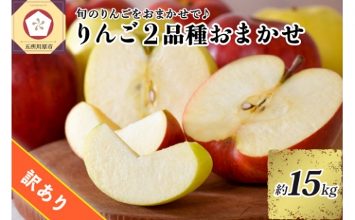 【選べる配送時期】【訳あり】旬の美味しいりんご約15kg青森産【おまかせ2品種】