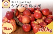 【選べる配送時期】 【訳あり】 りんご 約10kg サンふじ 葉とらず 青森産
