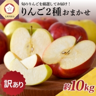 ※選べる 配送時期※ 【訳あり】 りんご 約10kg 青森産 品種おまかせ2種以上