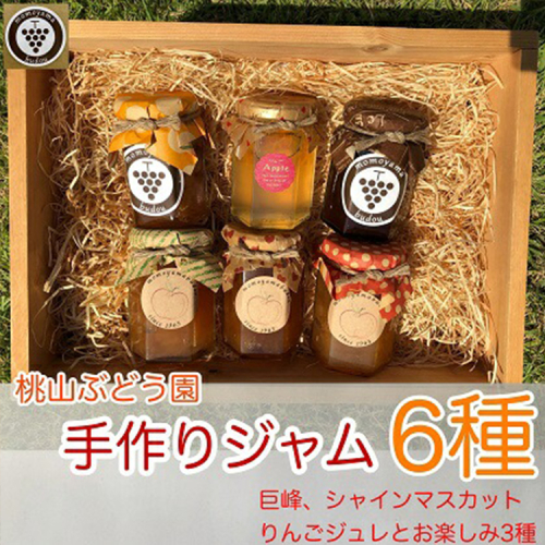 桃山ぶどう園の手作りくだものジャム6種（巨峰、シャインマスカット、りんごジュレとお楽しみ3種）　※北海道・沖縄・離島への配送不可　※2025年9月中旬頃より順次発送予定 1459813 - 富山県魚津市