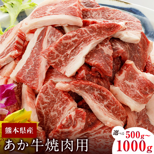 肥後のあか牛（熊本県産）焼肉用 500g 1000g 南阿蘇食品 《90日以内に出荷予定(土日祝除く)》 熊本県 南阿蘇村 1459817 - 熊本県南阿蘇村