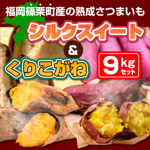 篠栗町産の熟成さつまいも「シルクスイート」「くりこがね」９kgセット　YX007 1460229 - 福岡県篠栗町