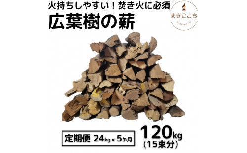 薪 24kg 24キロ 5ヶ月定期便 約30cm まき 広葉樹 乾燥 キャンプ アウトドア 料理 バーベキュー BBQ オーブン ストーブ 暖炉 焚火 たき火 焚き火台 熾火 燃料 ピザ窯 石窯【大月町共通返礼品】 1460373 - 高知県芸西村