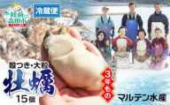 【11月後半発送】殻付き牡蠣15個（生食用）「3年育成した大粒」【 天然 牡蠣 かき 殻付き 生食 大粒 人気 国産 真牡蠣 三陸産 広田湾産 マルテン水産 】 予約受付中