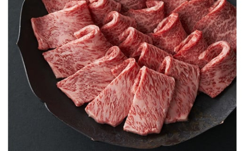 【寛閑観】近江牛『赤身』焼肉用（ランプ・イチボ）500ｇ【冷蔵】【FR27W】 1460872 - 滋賀県近江八幡市