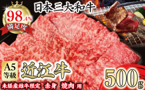 A5等級未経産雌牛　特撰近江牛 赤身 焼肉 500g 折箱入り ギフト【FO40W】 1460961 - 滋賀県近江八幡市