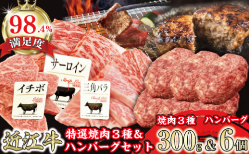 特撰近江牛おすすめ部位　焼肉3種300ｇ＆近江牛生ハンバーグ６個セット【FO41U】 1460962 - 滋賀県近江八幡市